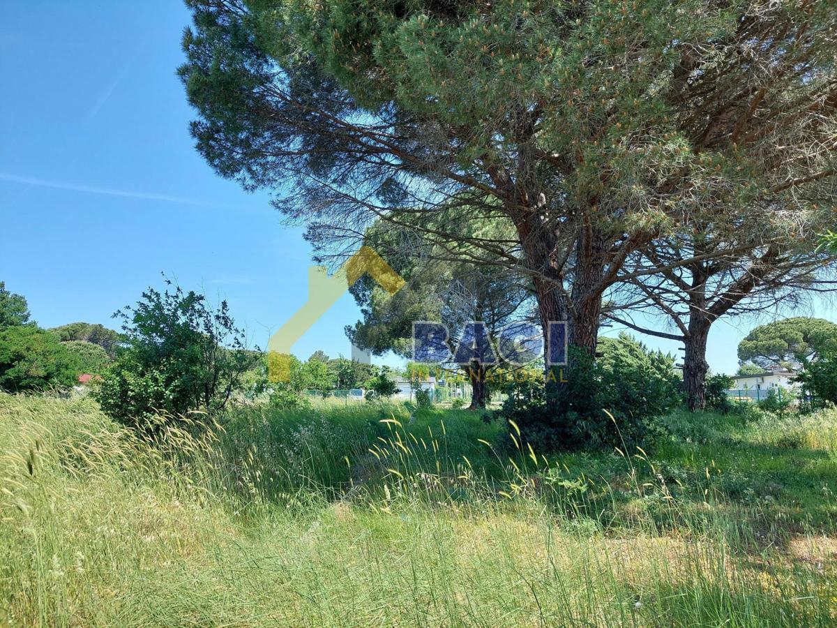 Bella terra Valbandon