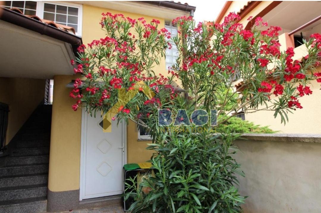 POLA-VILLA CON 8 APPARTAMENTI A 200m DAL MARE CON VISTA