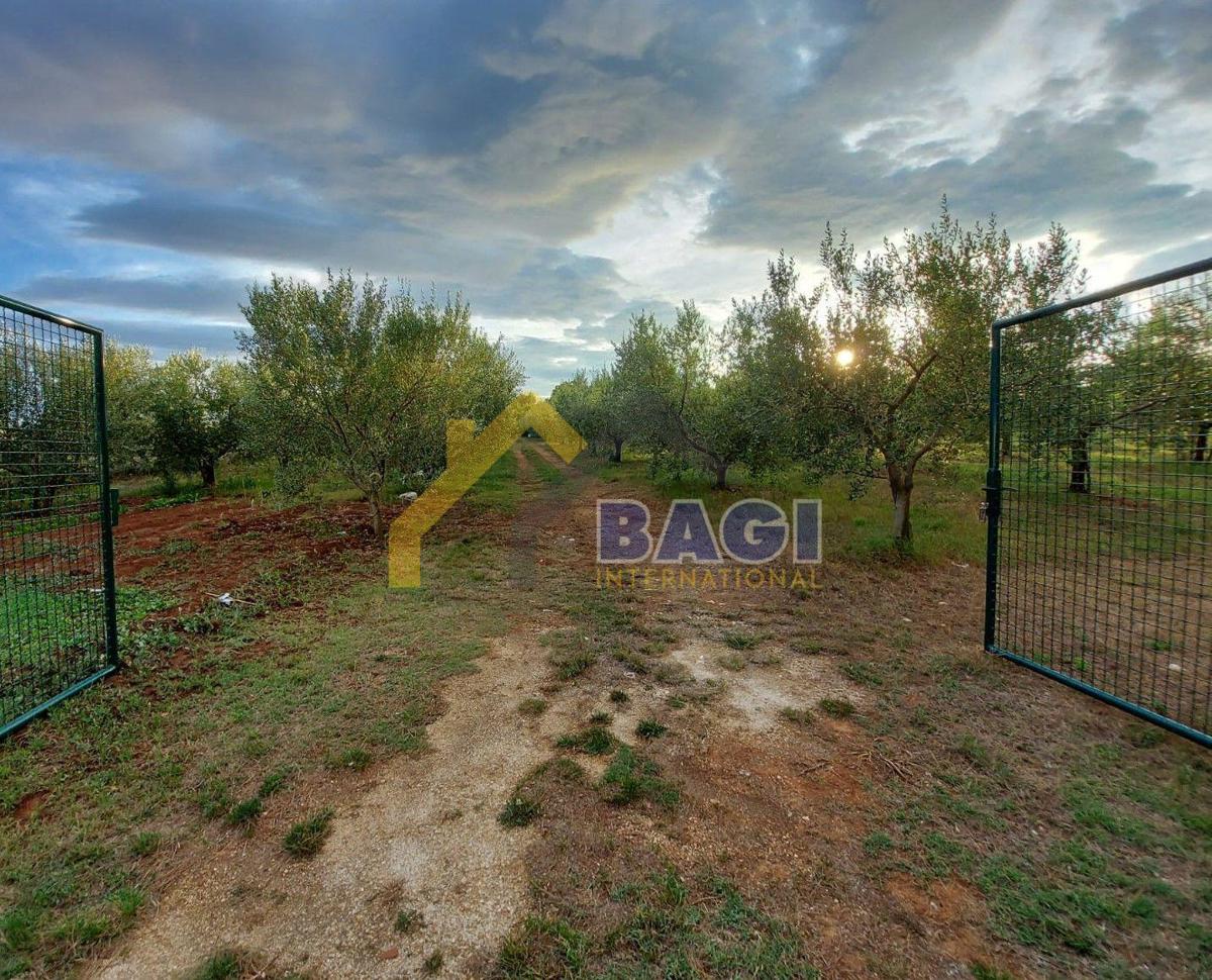 Terreni agricoli Medulin, 4.510m2