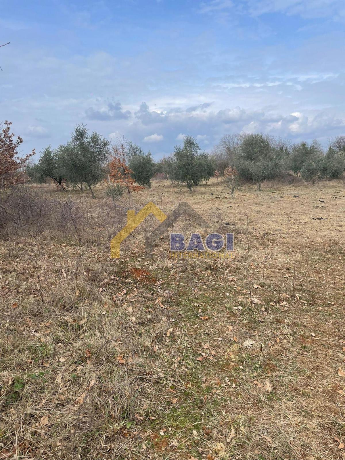 Terreno edificabile Barban, 2.410m2