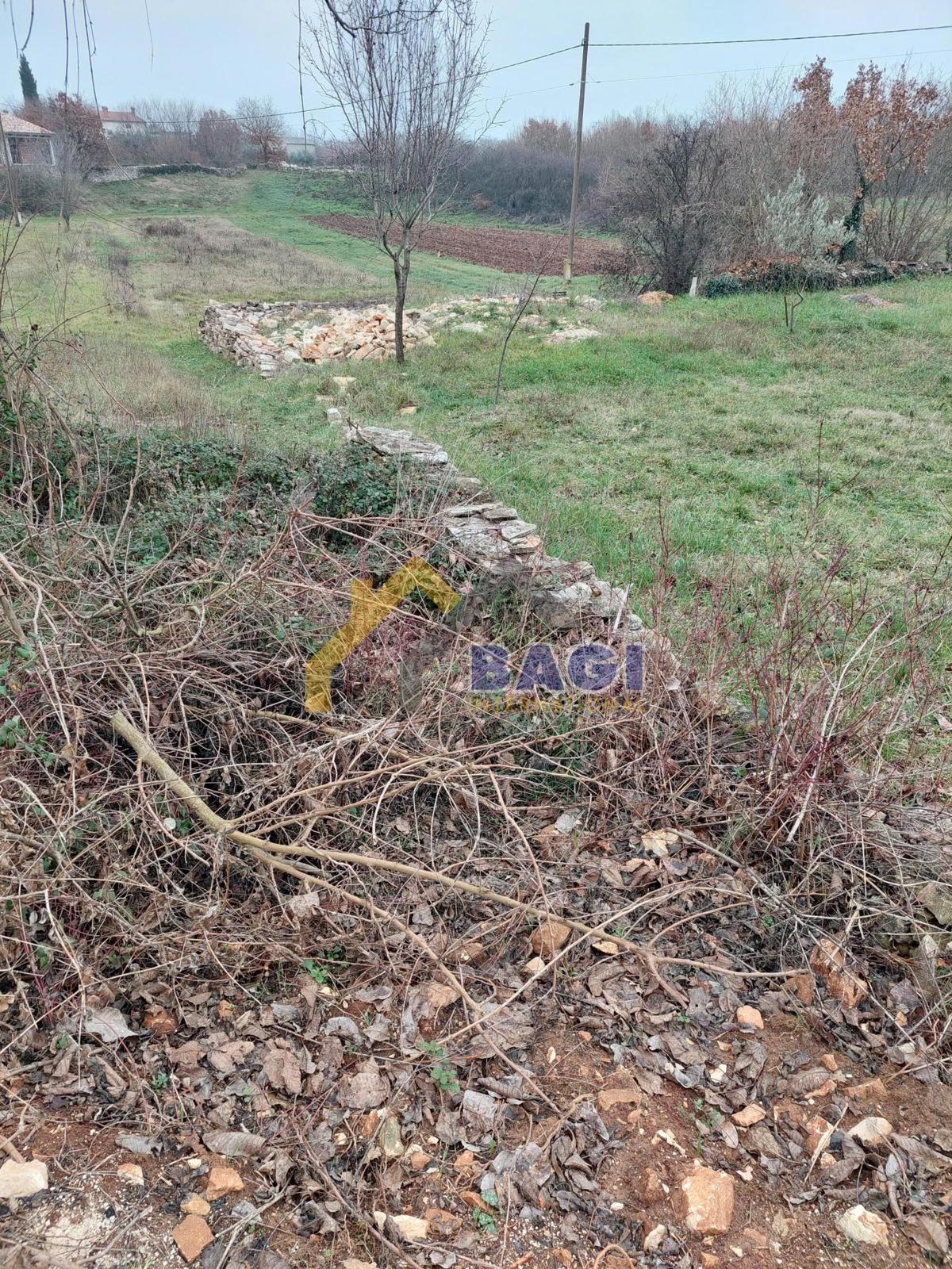 Terreno edificabile Svetvinčenat 919m2