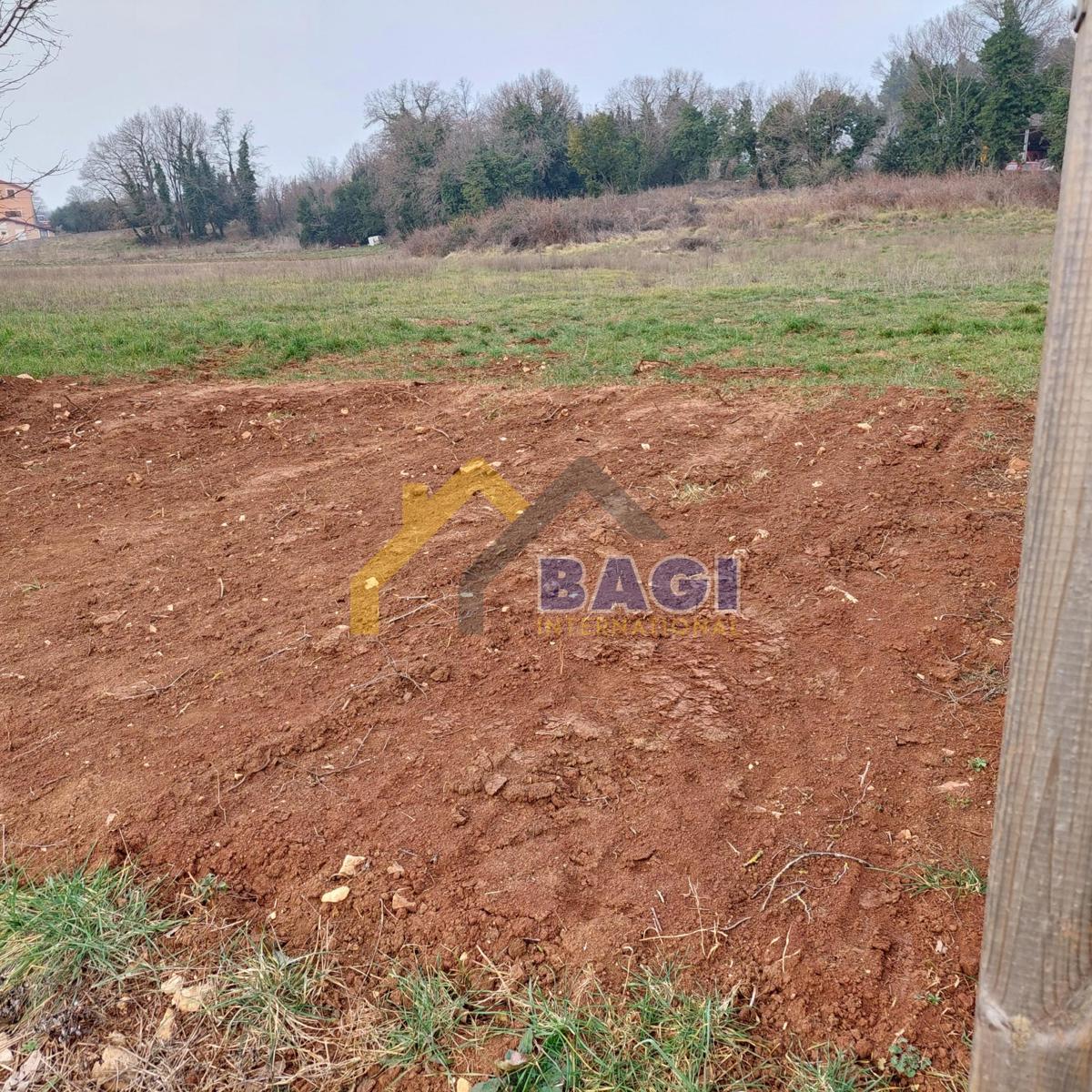 Terreno edificabile Krnica con progetto di casa