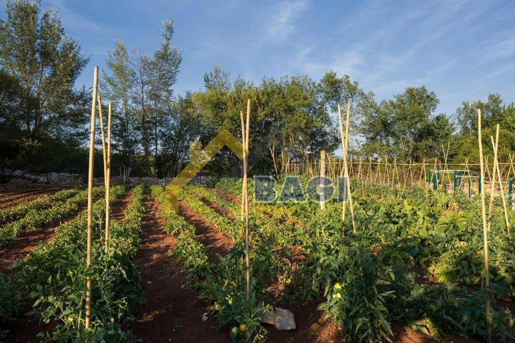 Villa Istriana Esclusiva vicino a Canfanaro