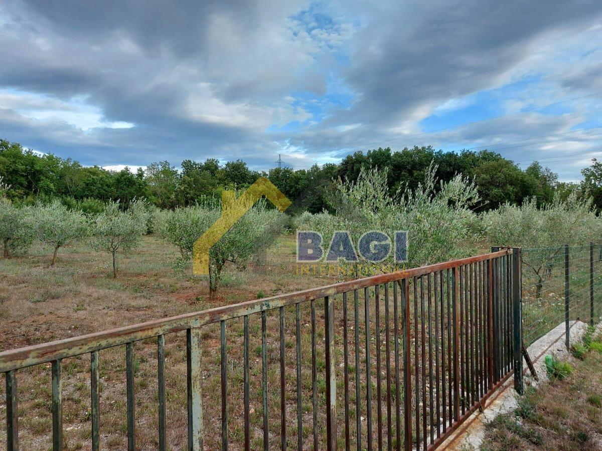 Terreni agricoli Šišan, Ližnjan, 2.937m2