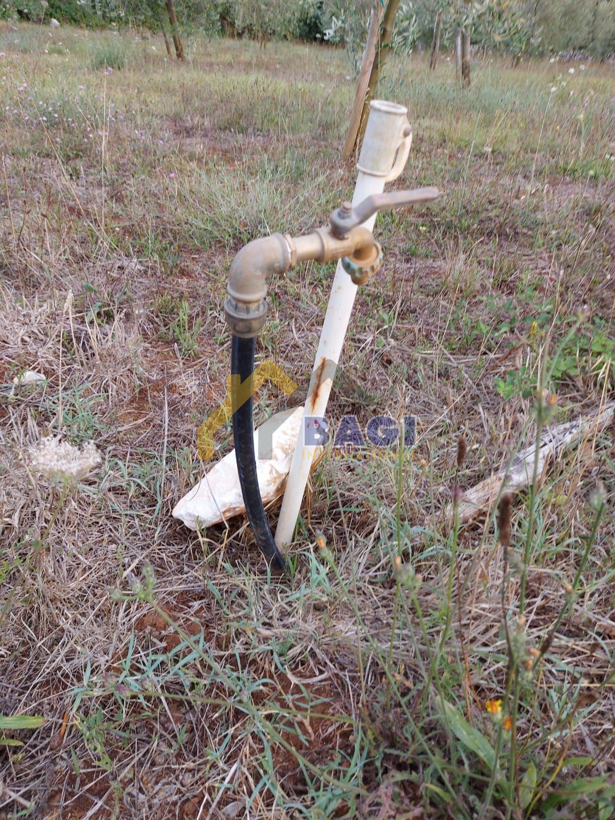 Terreni agricoli Šišan, Ližnjan, 2.937m2