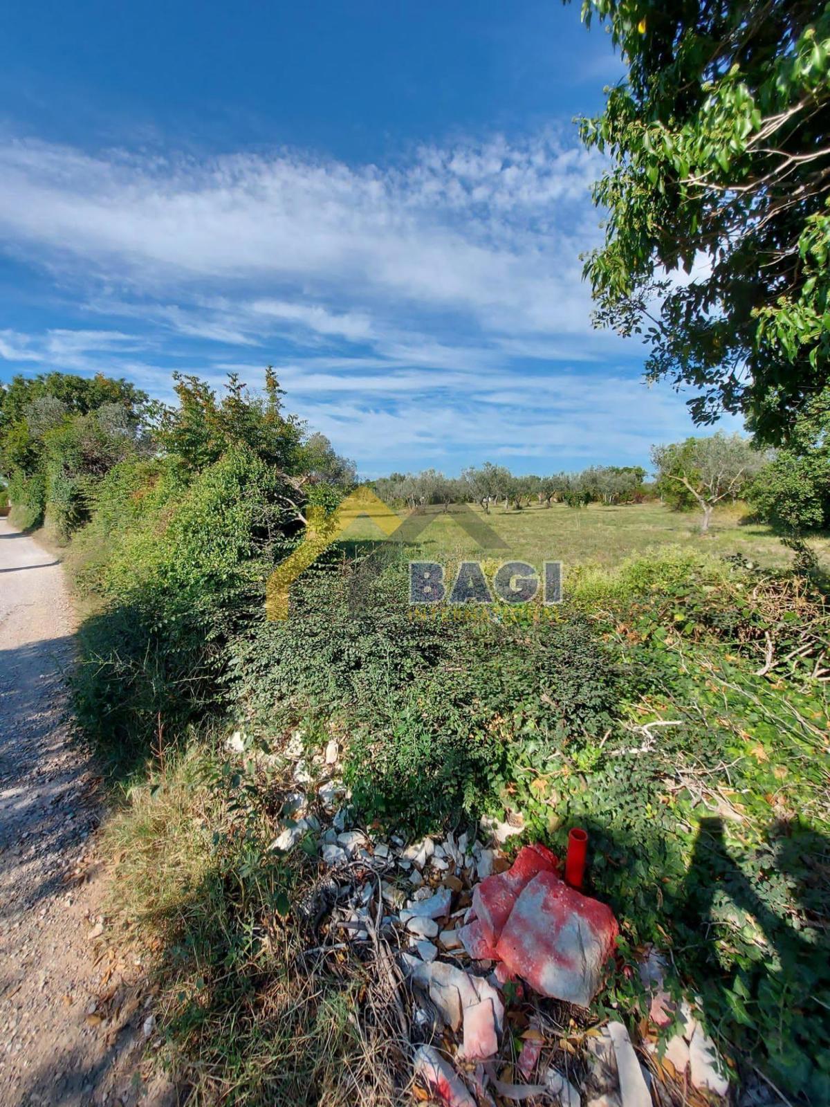 Terreni agricoli Peroj, Vodnjan, 3.000m2