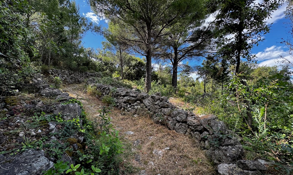 Casa in pietra con giardino e terreno Dol, isola di Hvar