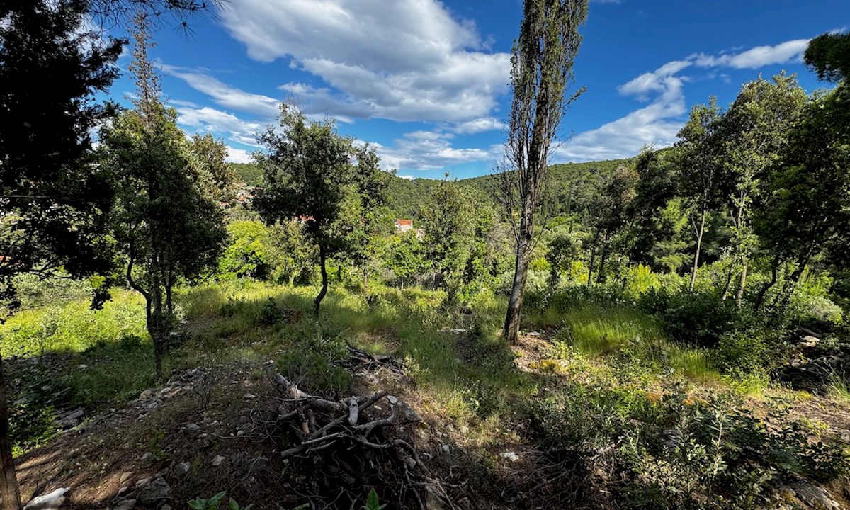 Casa in pietra con giardino e terreno Dol, isola di Hvar