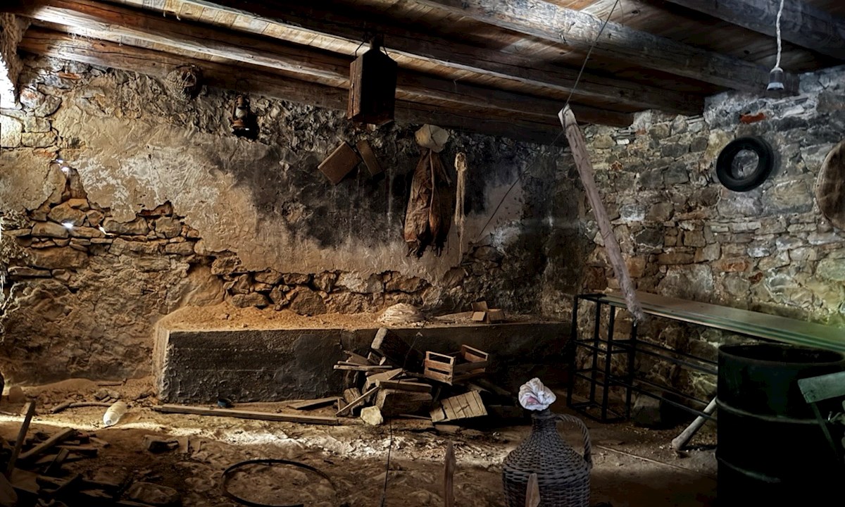 Progetto di ristrutturazione di una casa in pietra a Vrbanj con terrazza e vista sul giardino