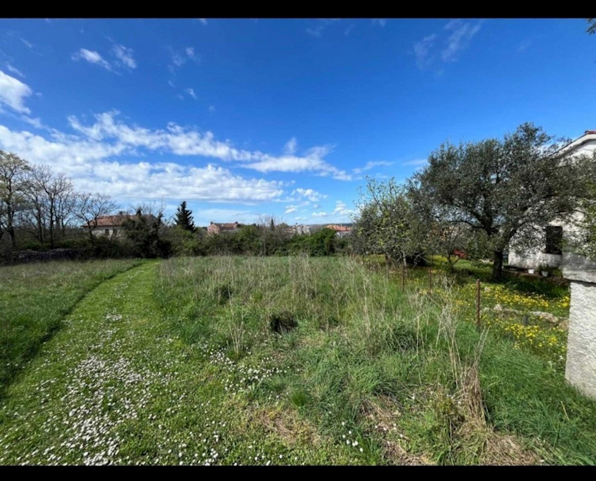 Terreno - Krnica