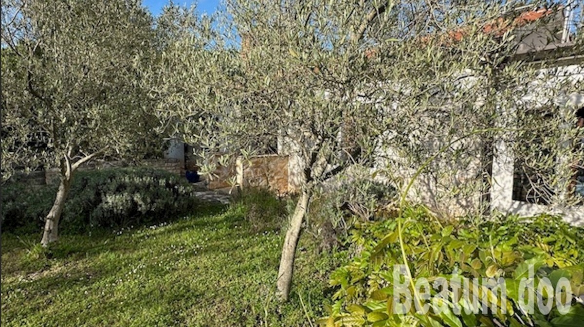 Casa e terreno, prima fila al mare,