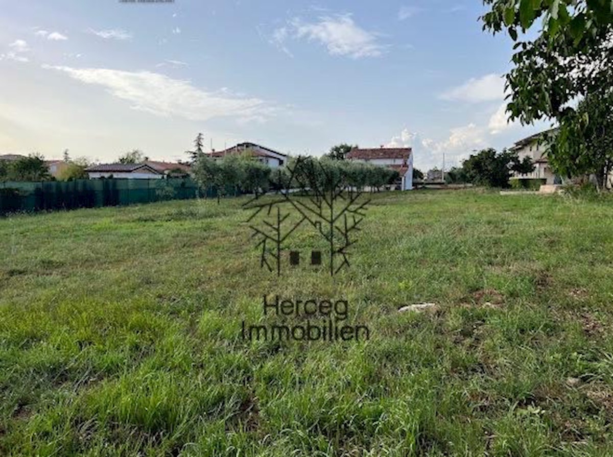 POREČ - Casa con uliveto - oltre 3000 m²