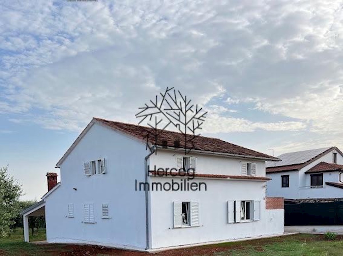 POREČ - Casa con uliveto - oltre 3000 m²