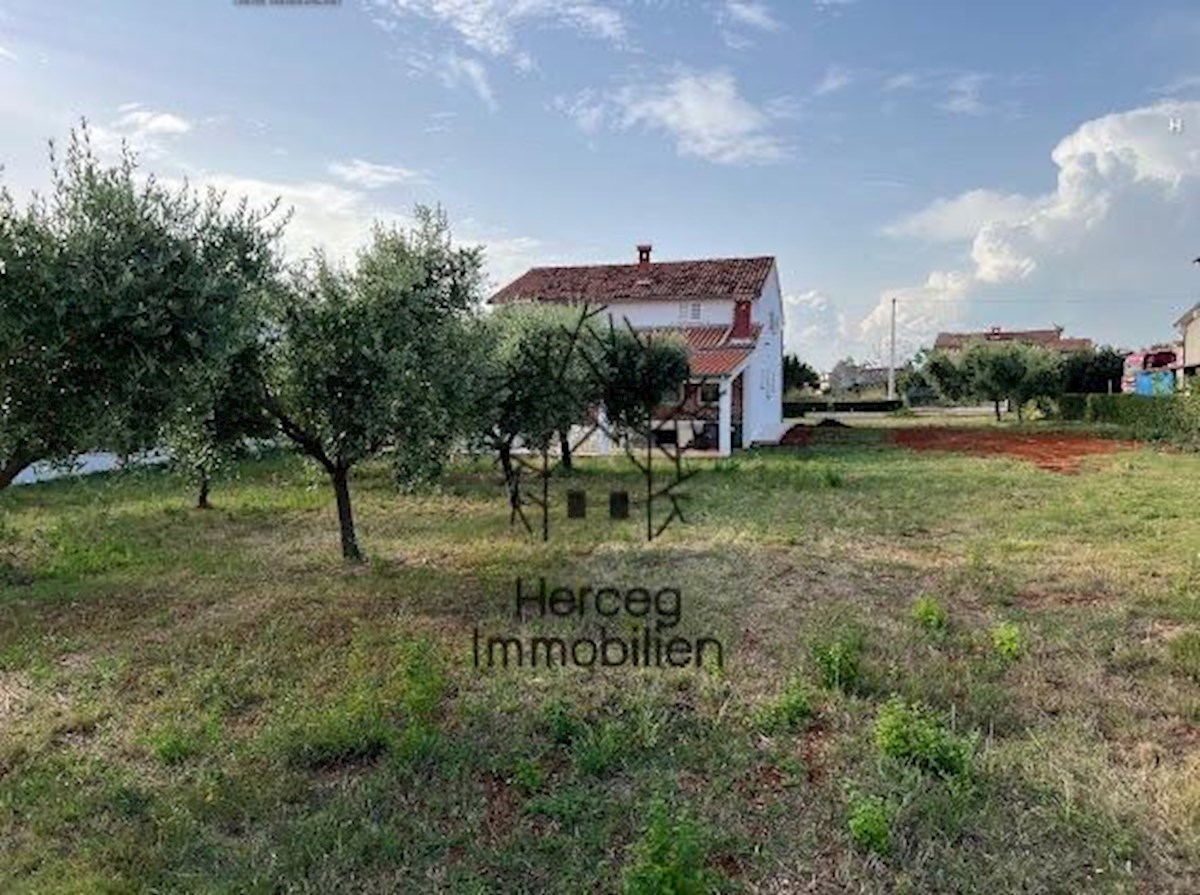 POREČ - Casa con uliveto - oltre 3000 m²