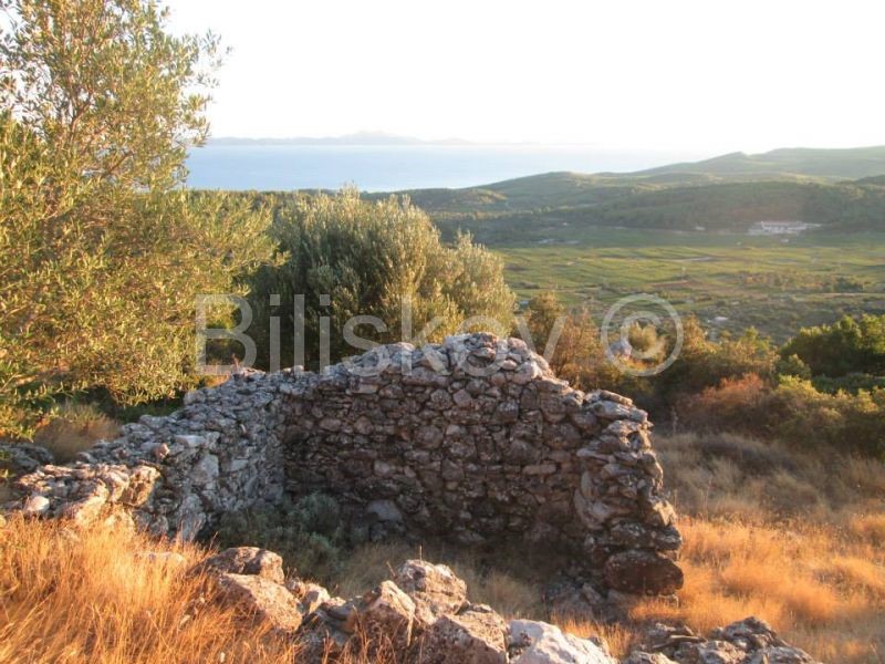 Čara, terreni agricoli