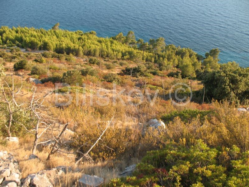 Hvar, edilizio - turistico