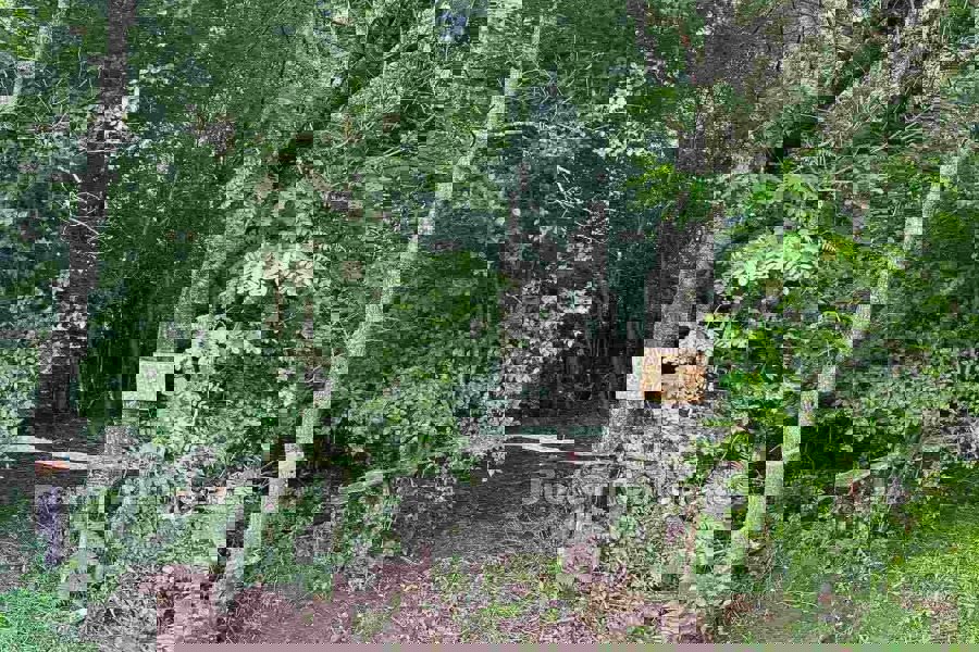 Terreno edificabile unico in una posizione tranquilla