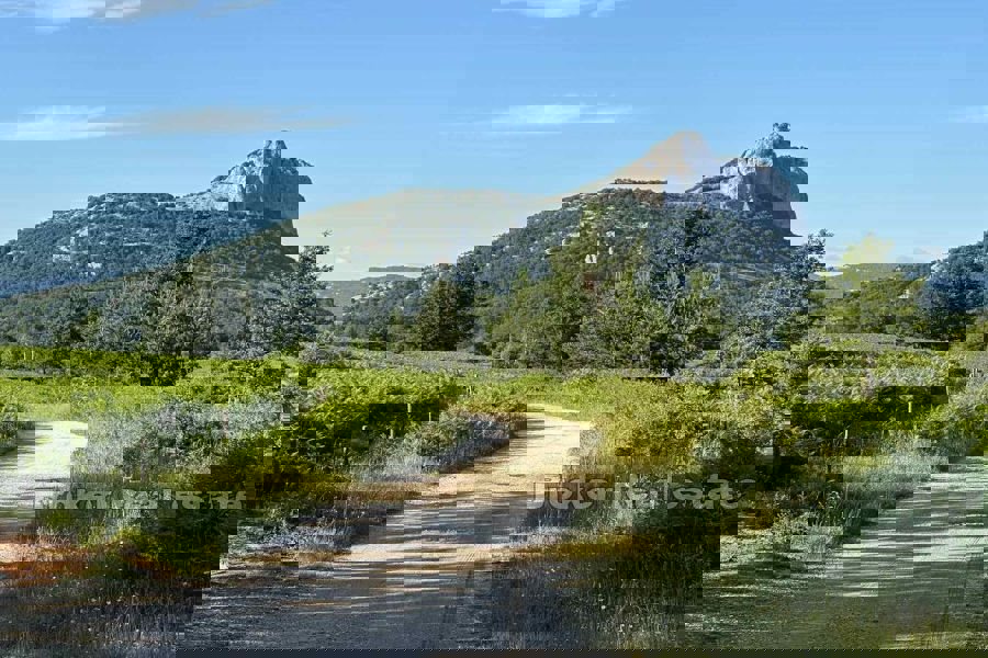 Terreno edificabile unico in una posizione tranquilla