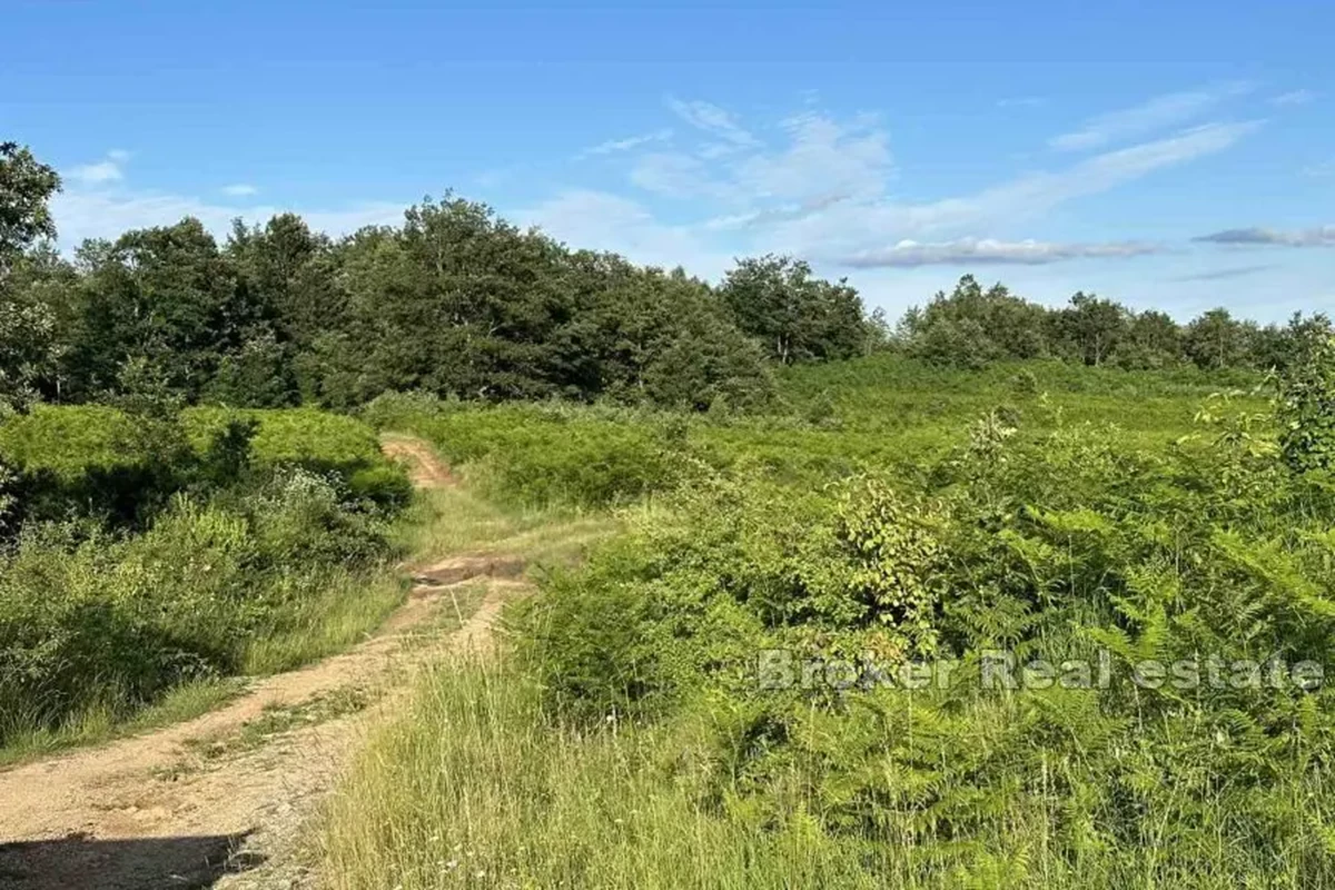 Grande terreno in una posizione tranquilla