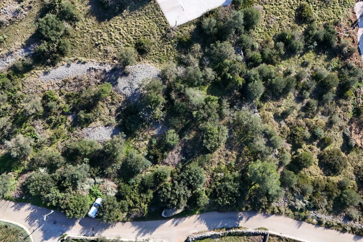 Terreno edificabile in posizione tranquilla