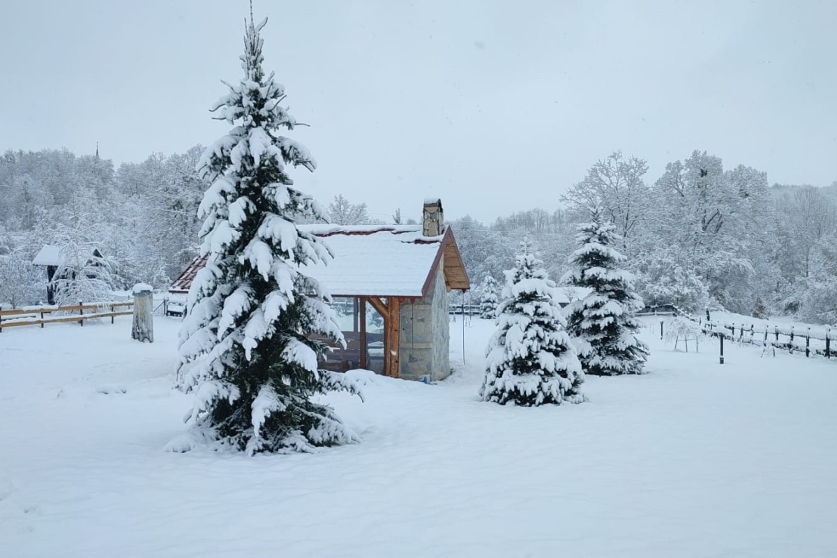 Una bella casa con terreno