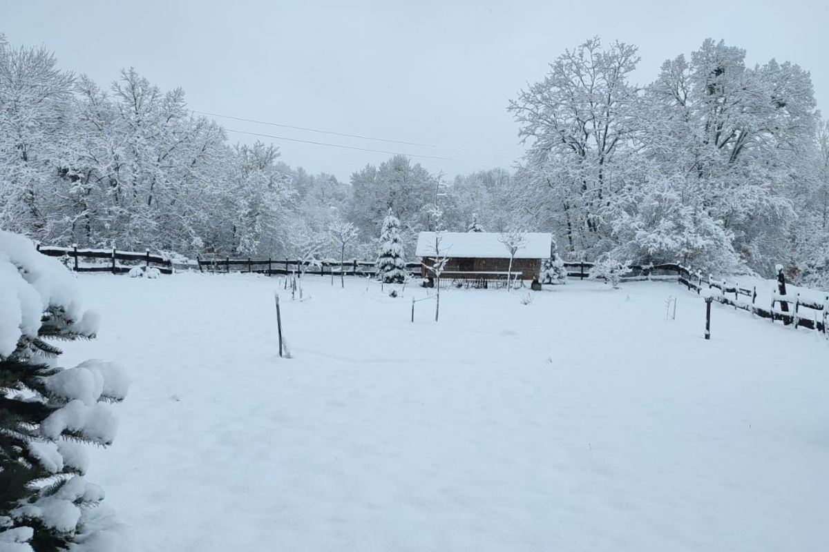 Una bella casa con terreno