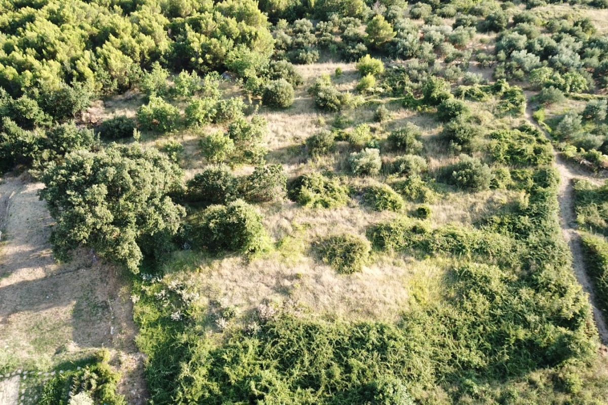 Terreno edificabile con vista panoramica