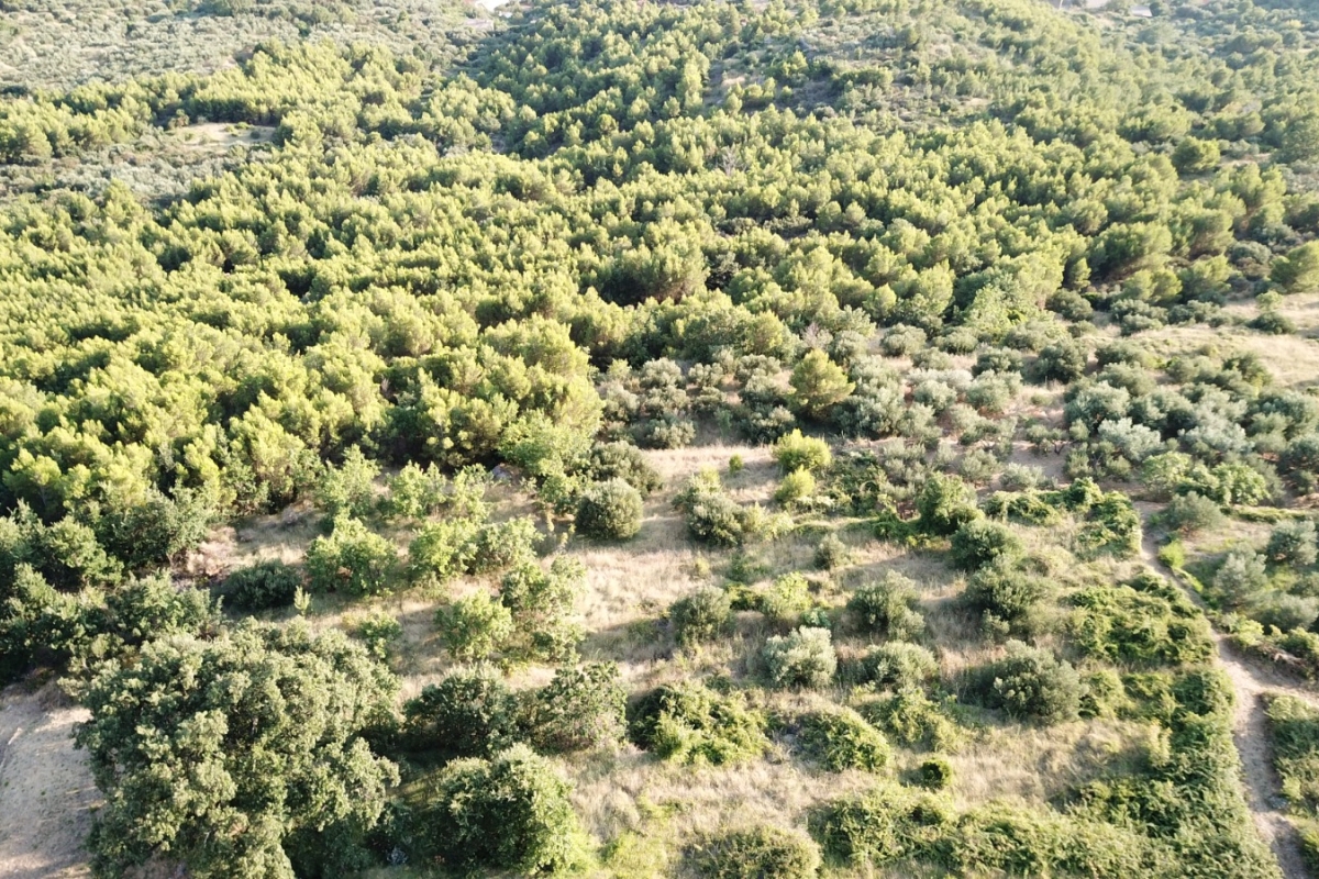 Terreno edificabile con vista panoramica