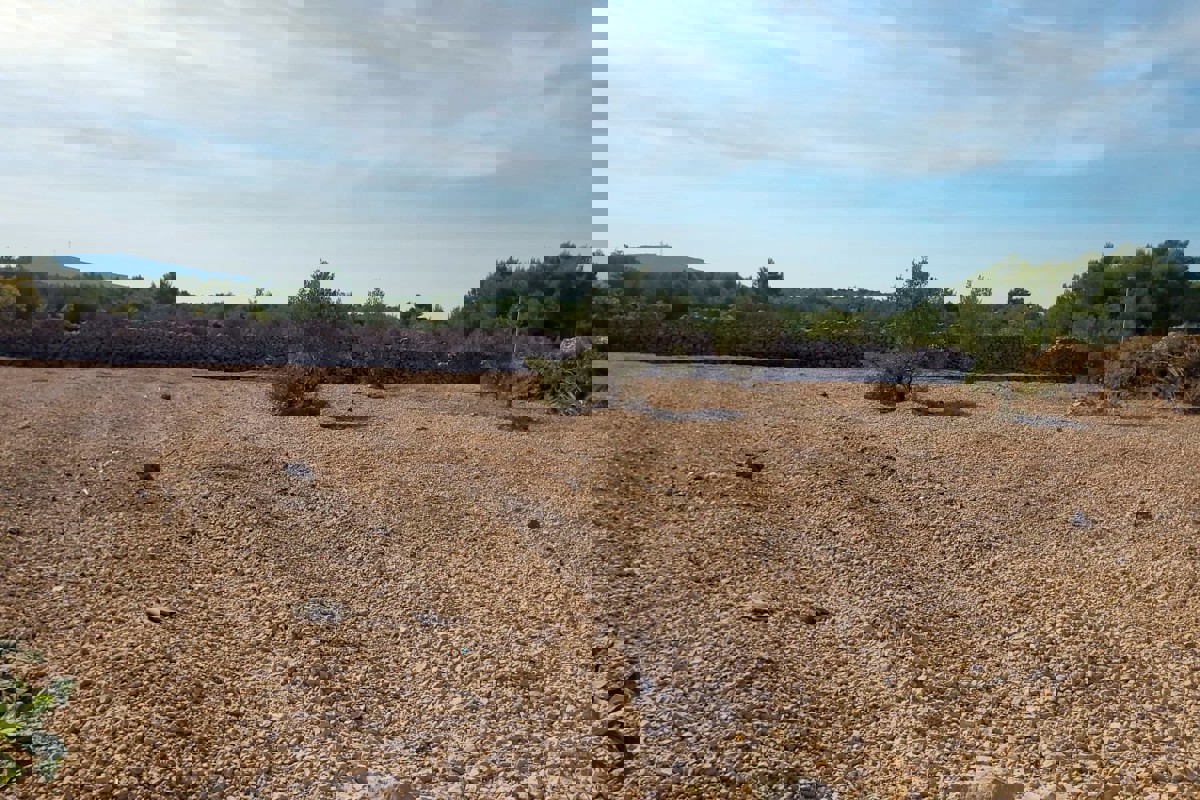 Ampio terreno edificabile