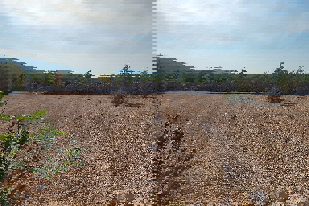 Ampio terreno edificabile