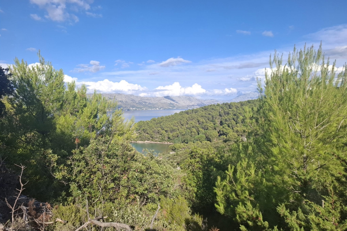 Terreno agricolo di pregio in posizione eccezionale
