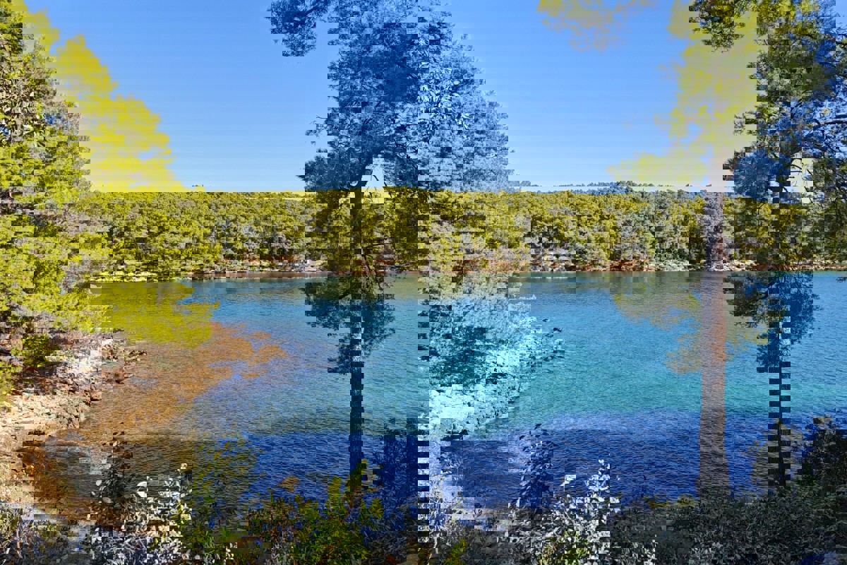 Nuova costruzione - appartamento con una camera da letto e loggia, vicino al mare