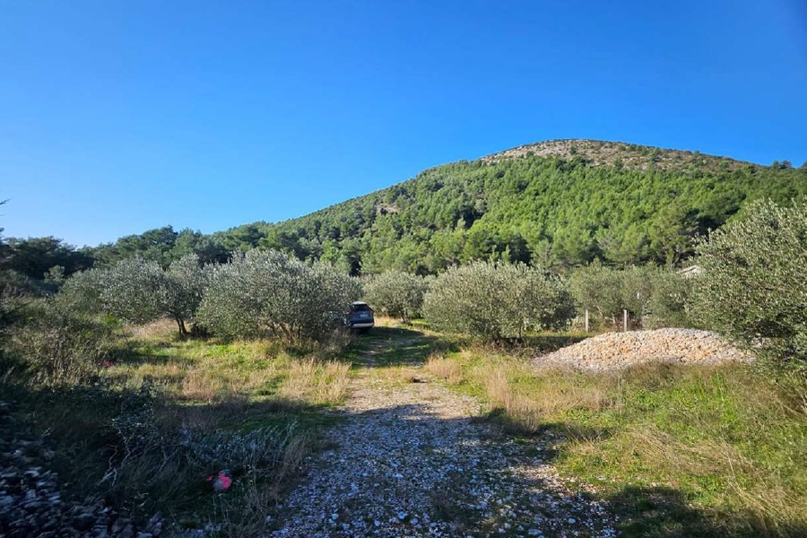 Terreno agricolo con annesso annesso