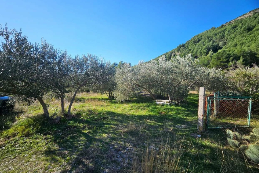 Terreno agricolo con annesso annesso