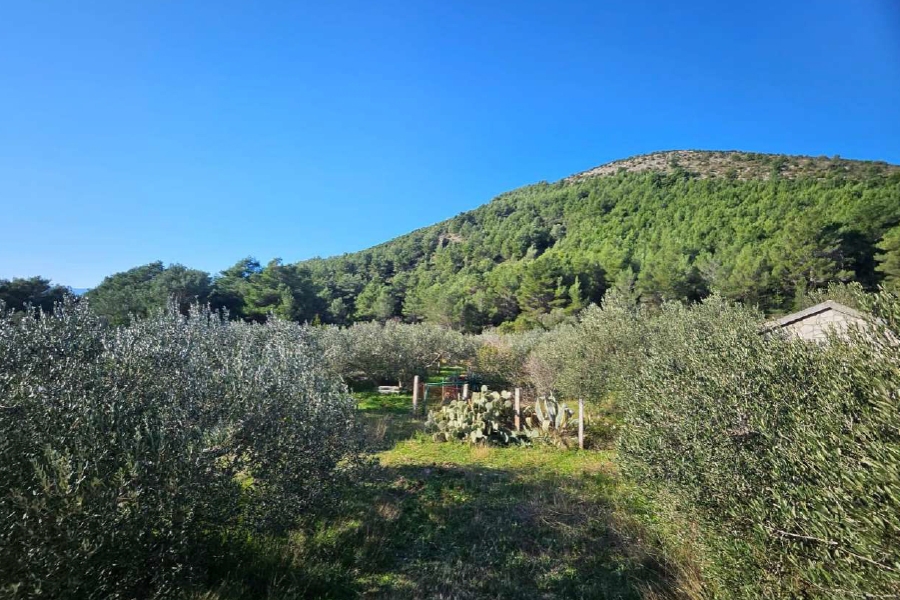 Terreno agricolo con annesso annesso