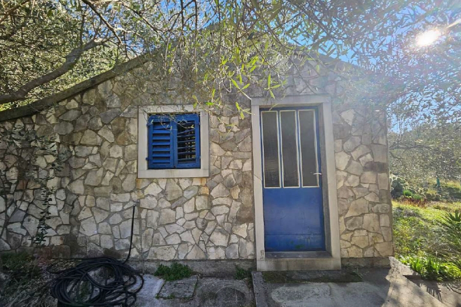 Terreno agricolo con annesso annesso