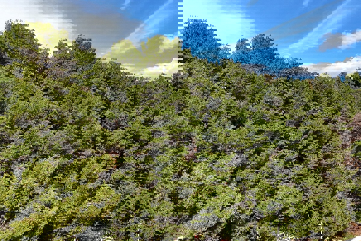 Terreno edificabile sul mare, zona T1