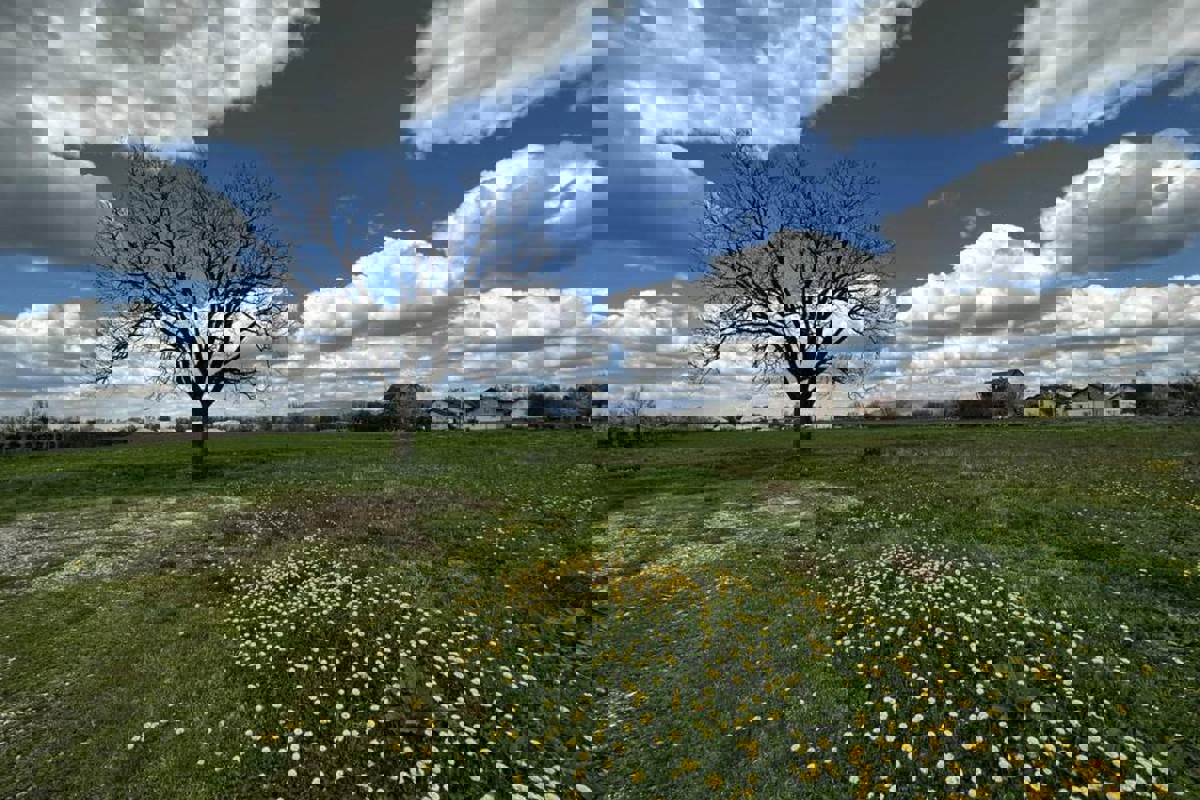 Terreno in posizione strategica