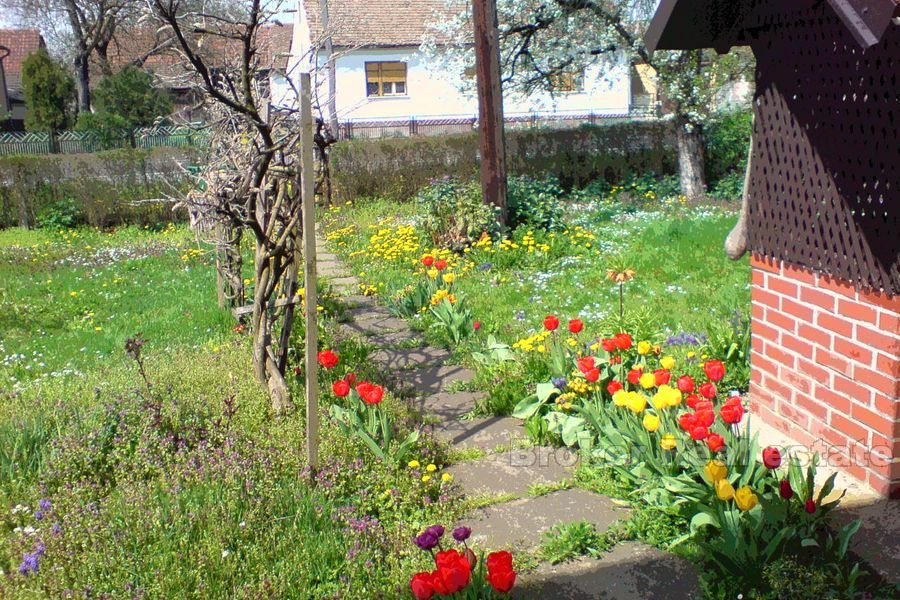 Casa con terreno di grandi dimensioni