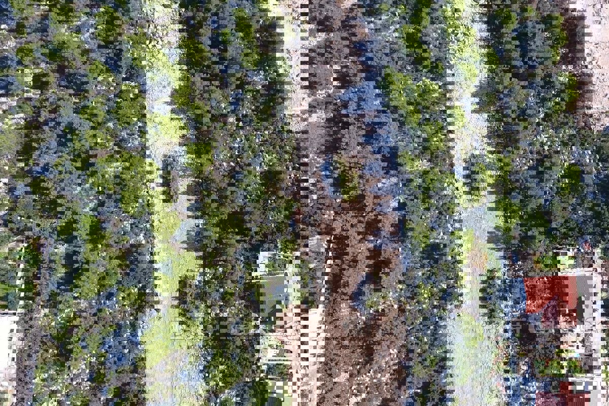 Ampio terreno edificabile con vista aperta