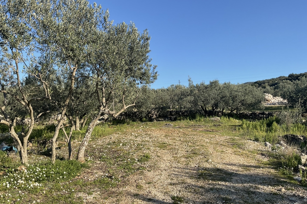 Terreno edificabile con vista mare