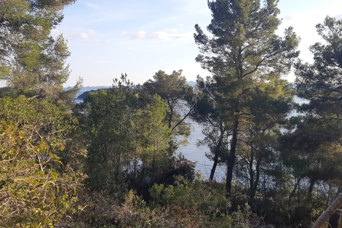 Terreno edificabile con progetto