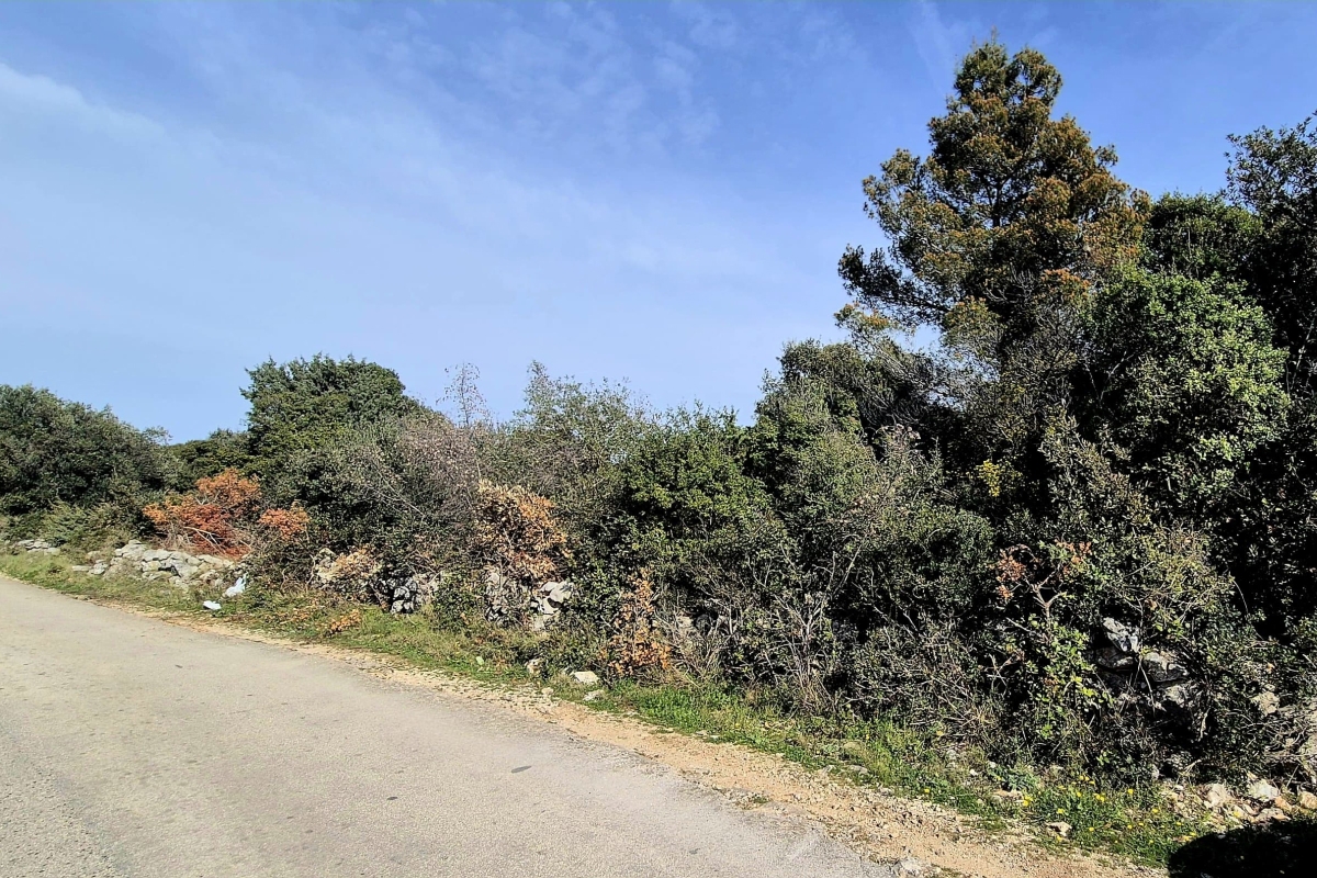 Terreno edificabile con vista sul mare e sulla natura