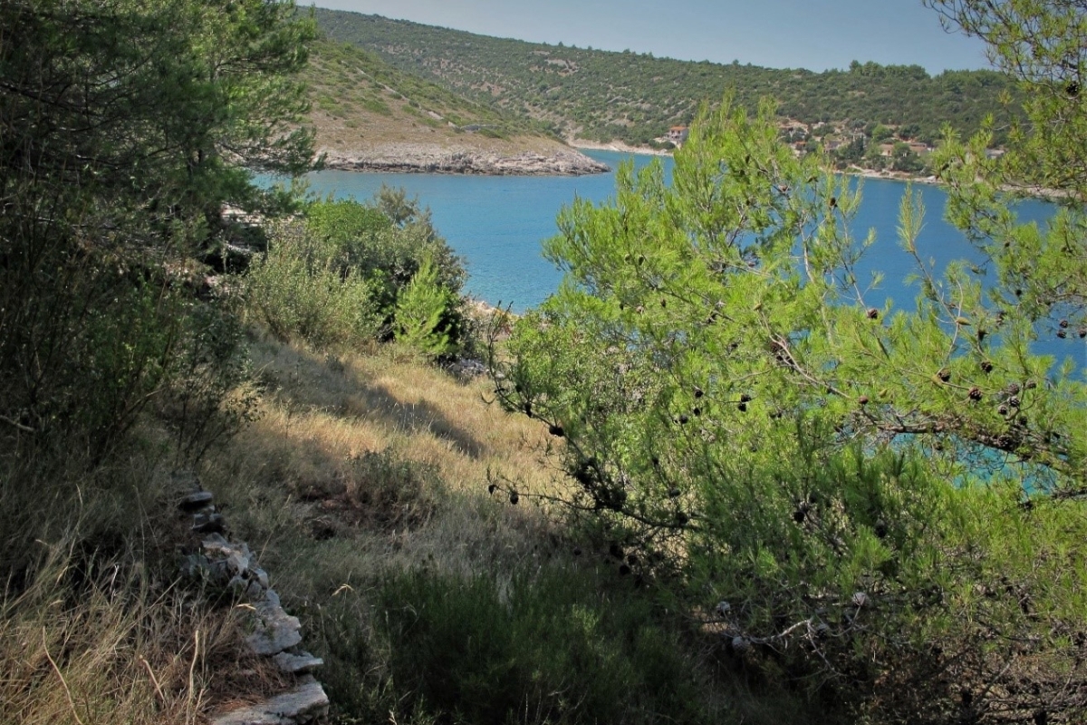Casa con terreno in prima fila sul mare