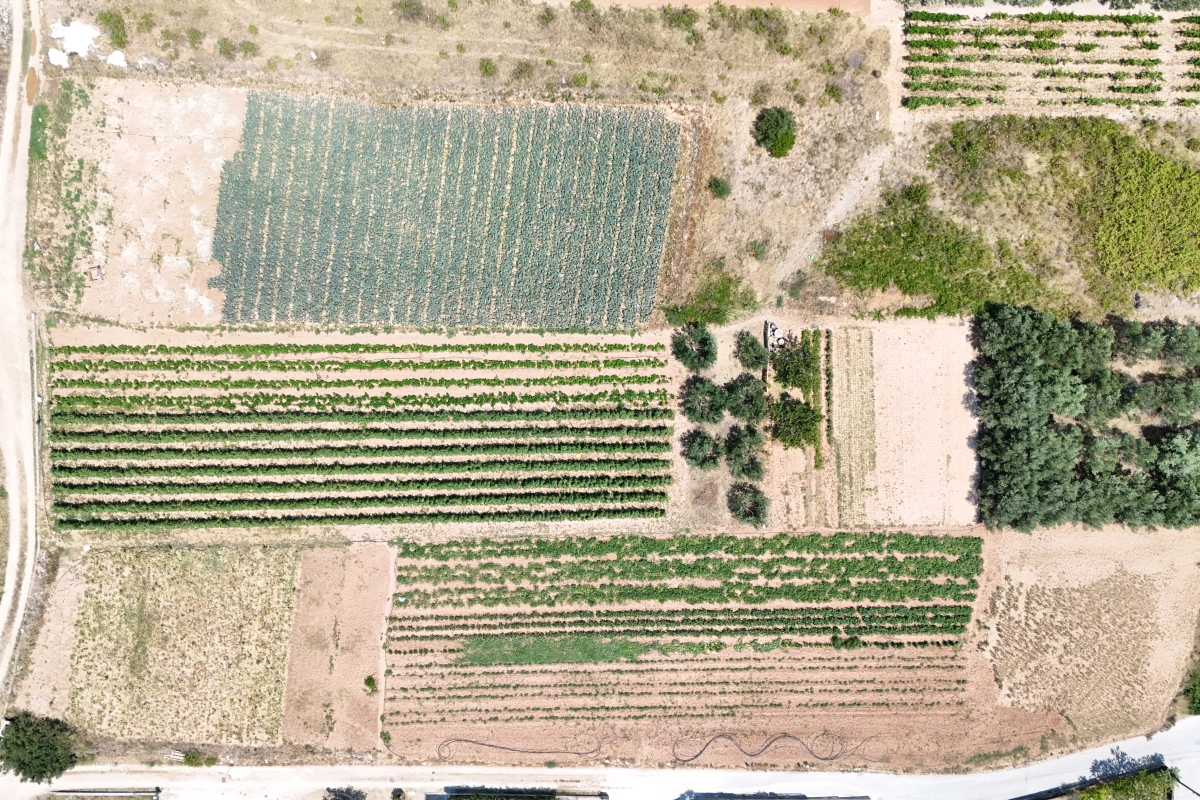 Terreno edificabile in posizione eccellente vicino al centro di Traù