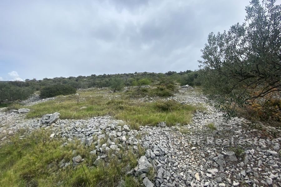 Terreno edificabile con vista panoramica sul mare