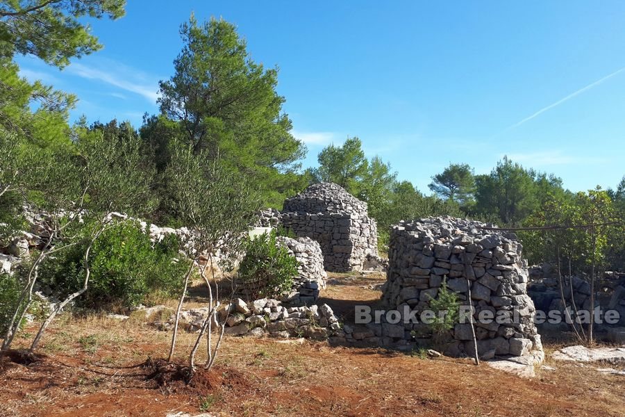 Terreno agricolo con rudere in pietra