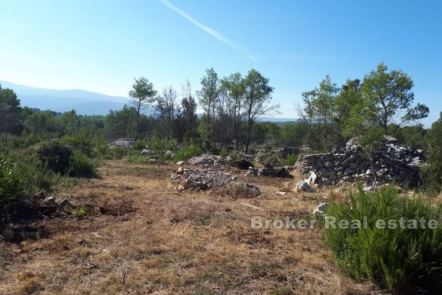 Terreno agricolo con rudere in pietra