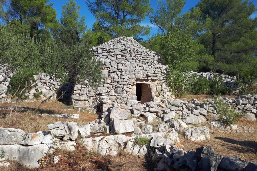 Terreno agricolo con rudere in pietra