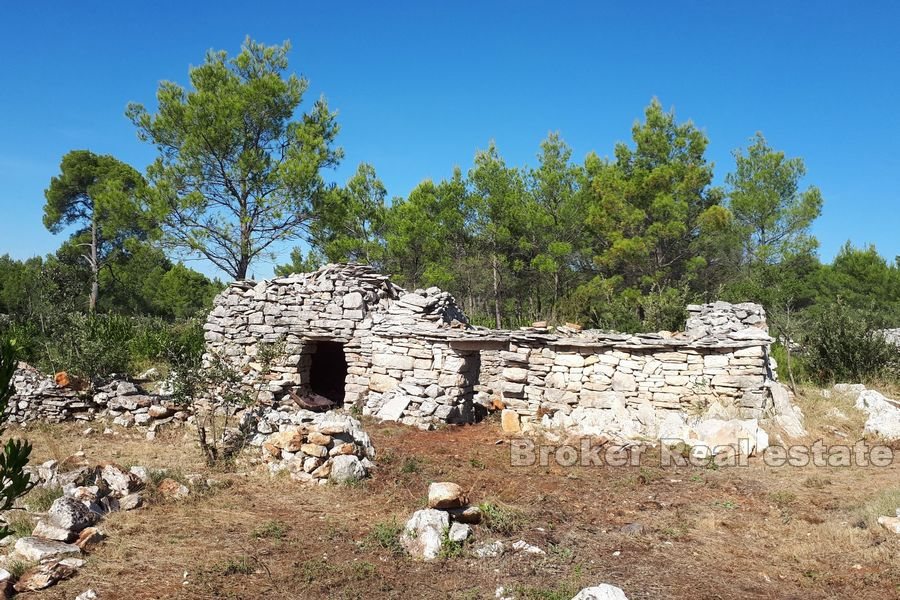 Terreno agricolo con rudere in pietra